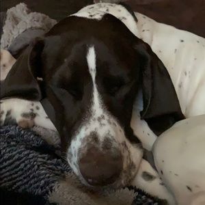 Meet your Posher, Tina